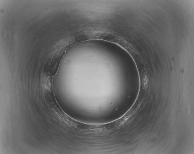 X0000080201204200612081419