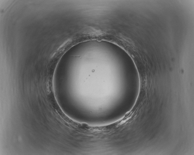 X0000080201205200612081419