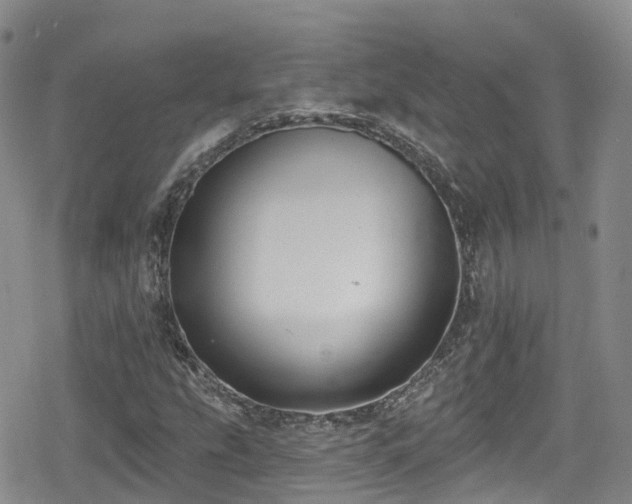 X0000080201207200612081419