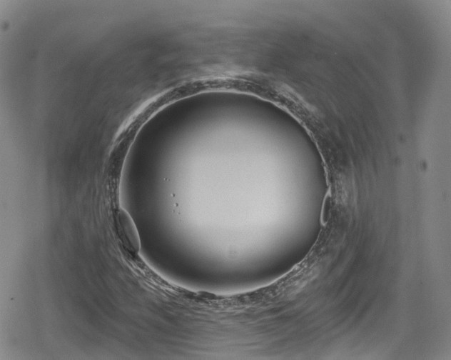 X0000080201208200612081419