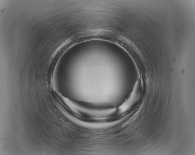 X0000080201210200612081419