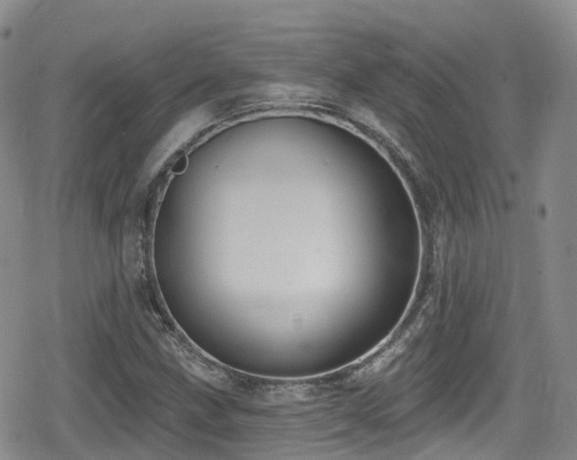 X0000080201211200612081419