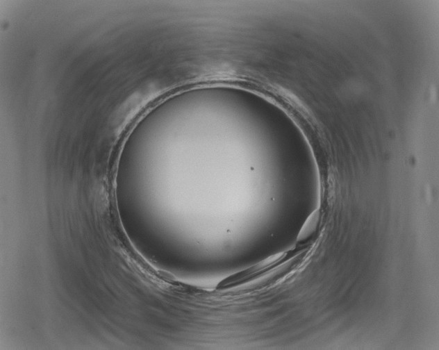 X0000080201212200612081419