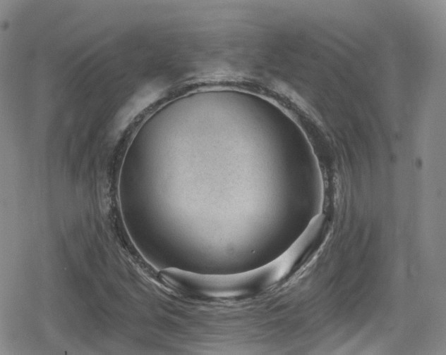 X0000080201213200612081419