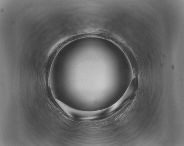 X0000080201214200612081419