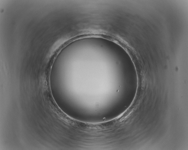 X0000080201215200612081419