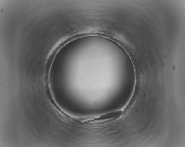 X0000080201216200612081419