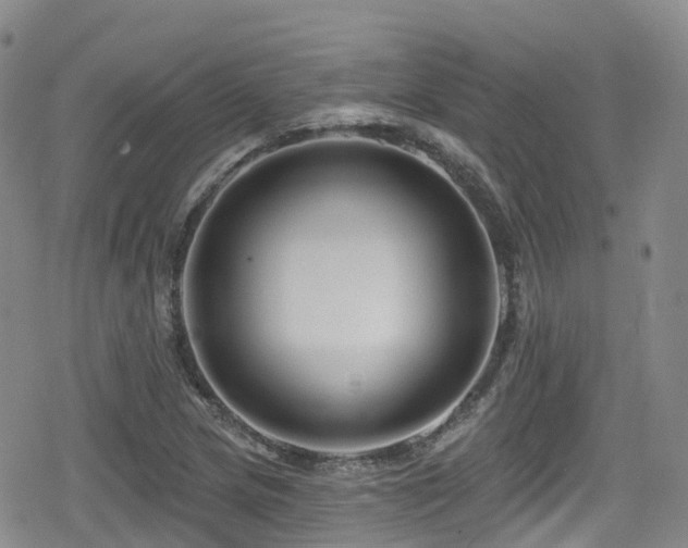 X0000080201217200612081419