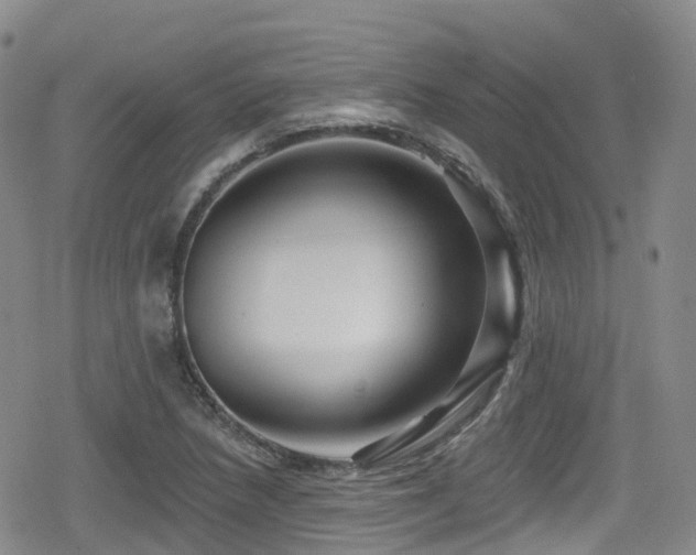 X0000080201218200612081419