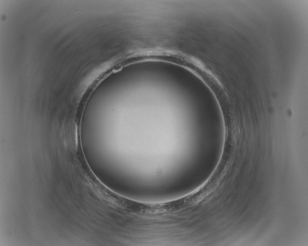 X0000080201221200612081419