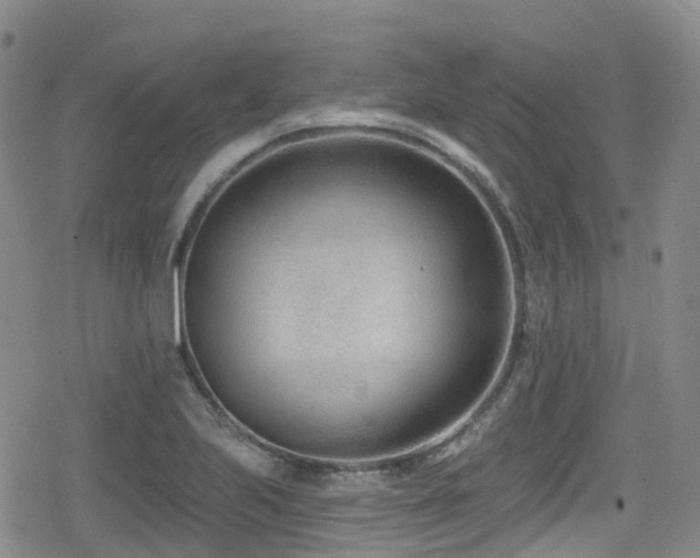 X0000080201223200612081419