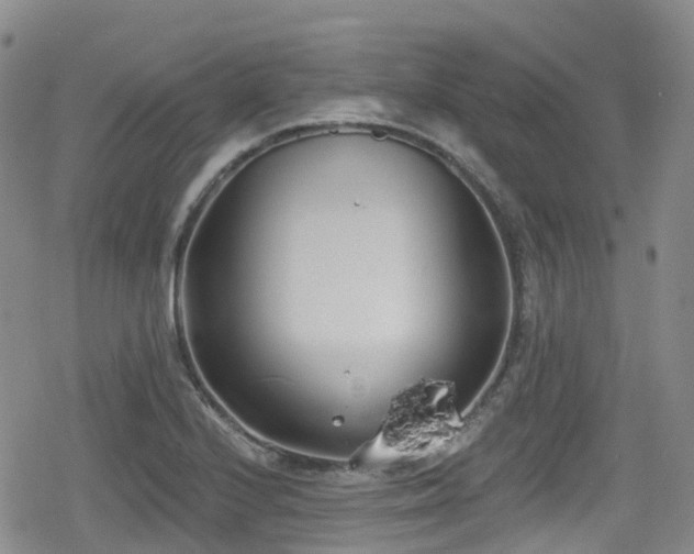 X0000080201224200612081419