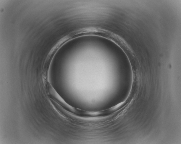 X0000080201225200612081419