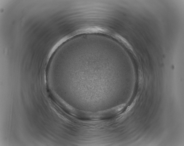 X0000080201226200612081419