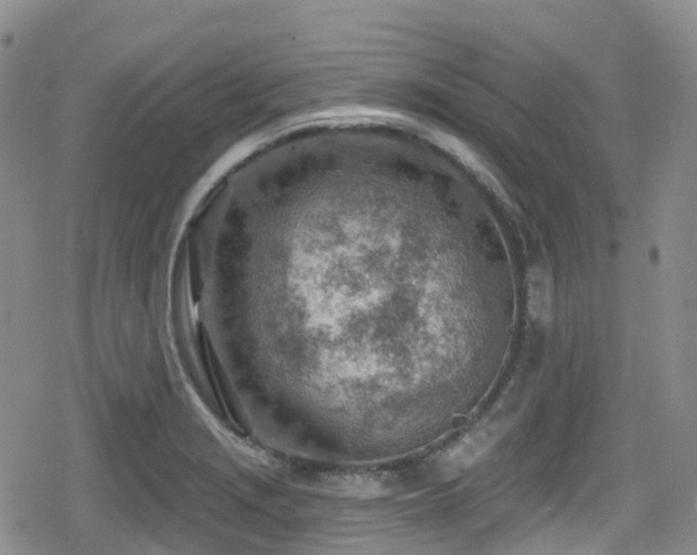 X0000080201229200612081419