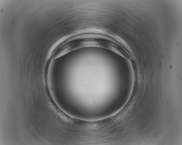 X0000080201230200612081419