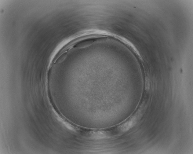 X0000080201231200612081419