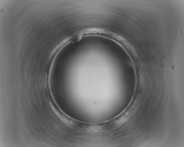 X0000080201233200612081419