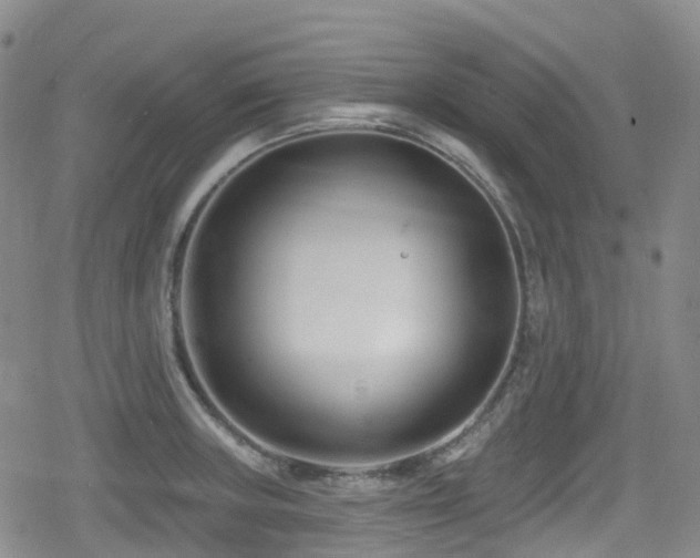 X0000080201235200612081419