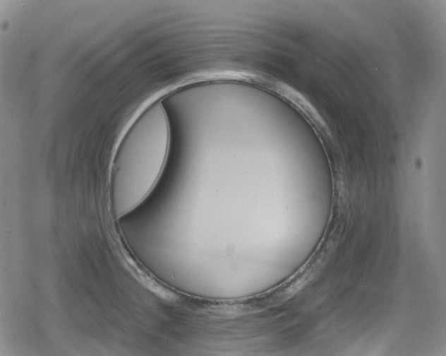 X0000080201236200612081419