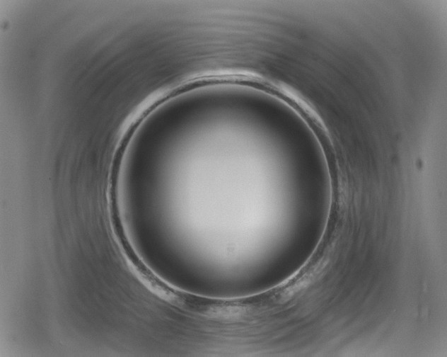 X0000080201237200612081419