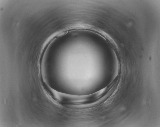 X0000080201238200612081419