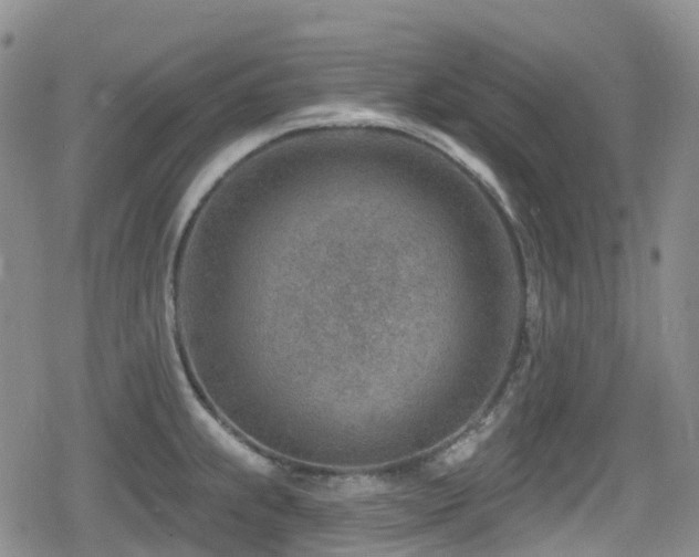 X0000080201239200612081419