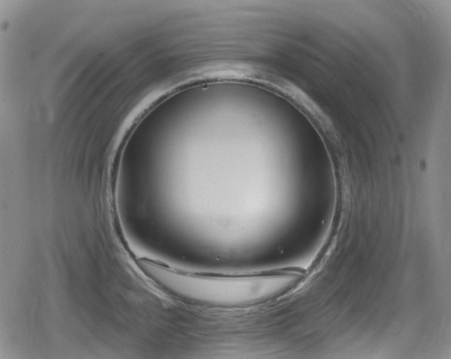 X0000080201240200612081419