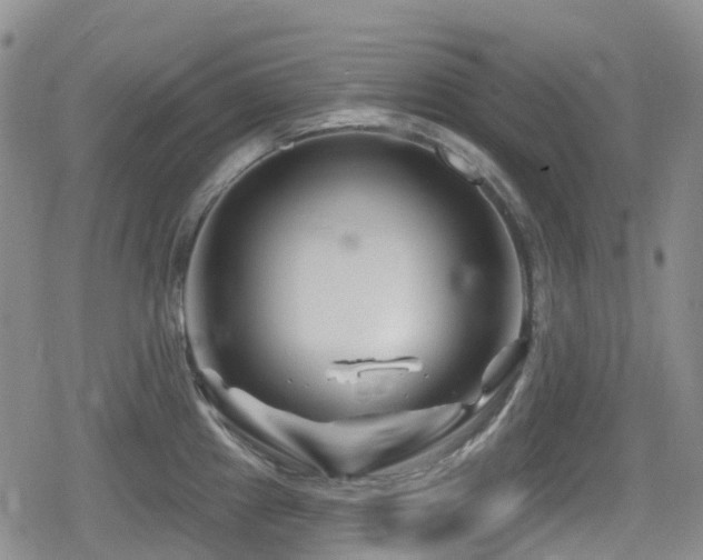 X0000080201241200612081419