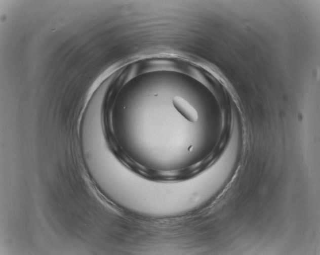 X0000080201242200612081419