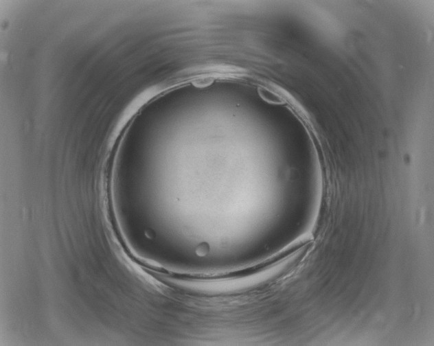 X0000080201243200612081419