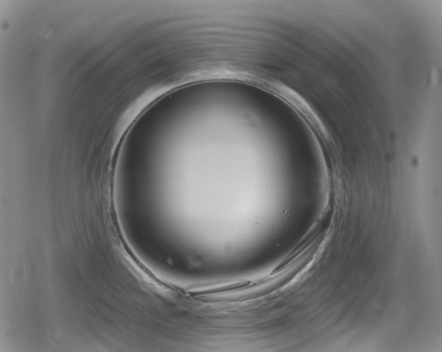 X0000080201244200612081419