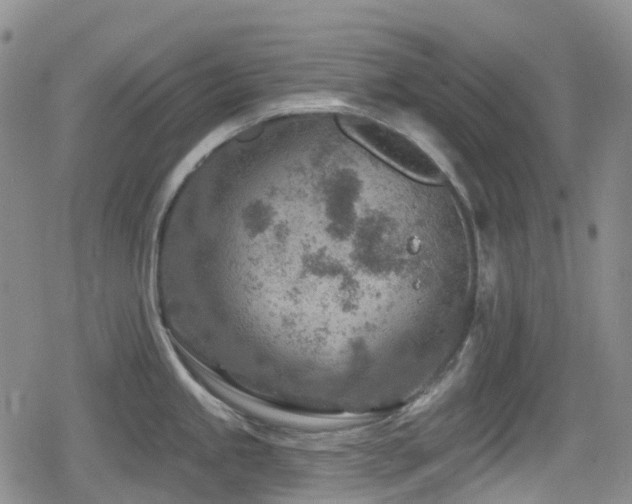 X0000080201245200612081419