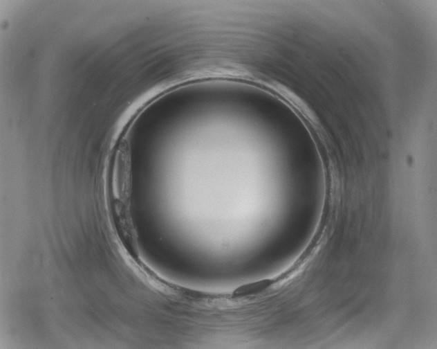 X0000080201246200612081419