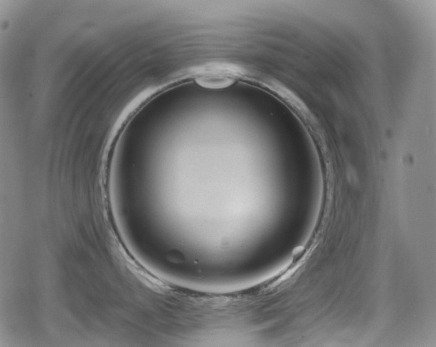 X0000080201248200612081419