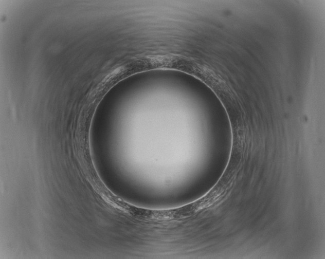 X0000080201249200612081418