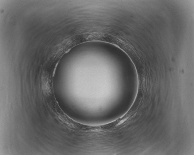 X0000080201250200612081418