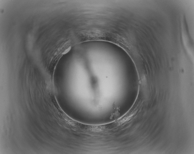 X0000080201251200612081418