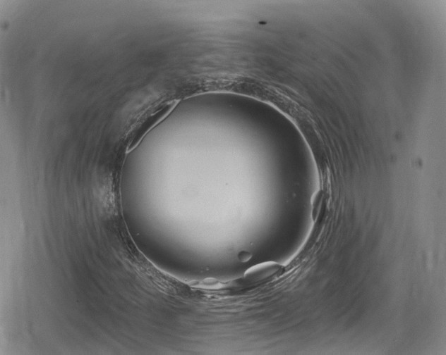 X0000080201252200612081418