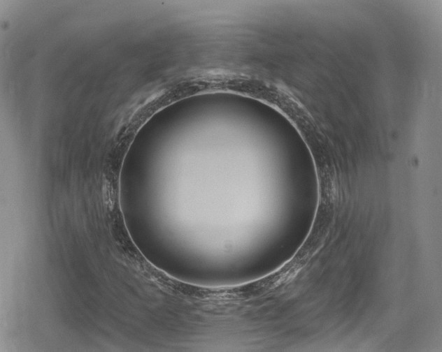 X0000080201253200612081418