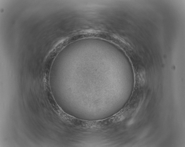 X0000080201254200612081418