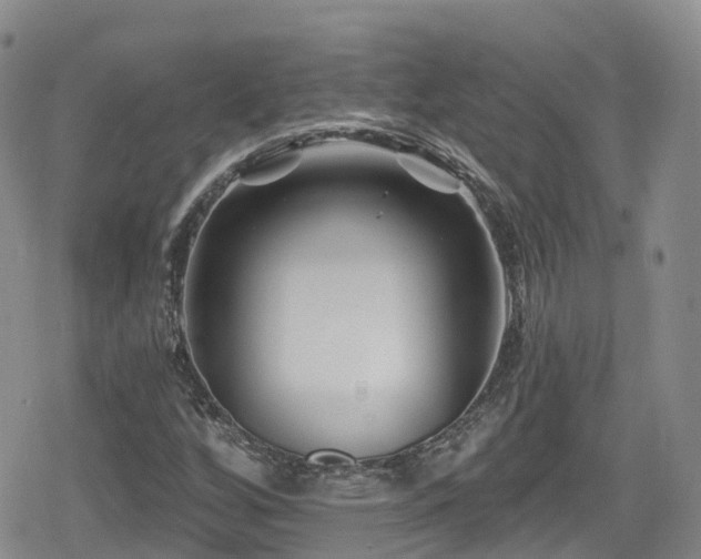 X0000080201256200612081418