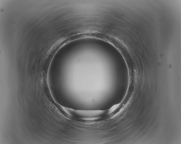 X0000080201257200612081418