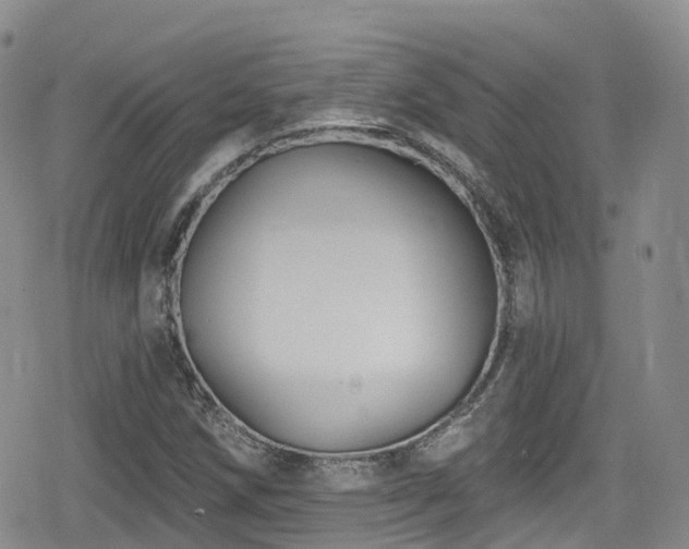 X0000080201258200612081418