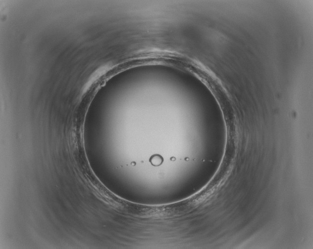 X0000080201259200612081418