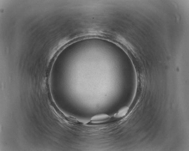 X0000080201260200612081418