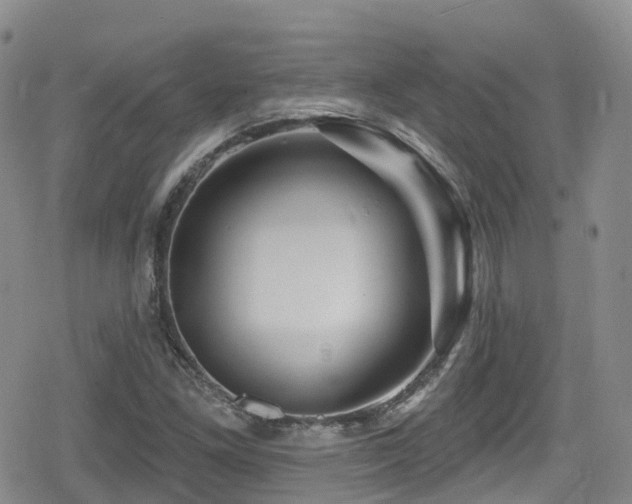 X0000080201261200612081418