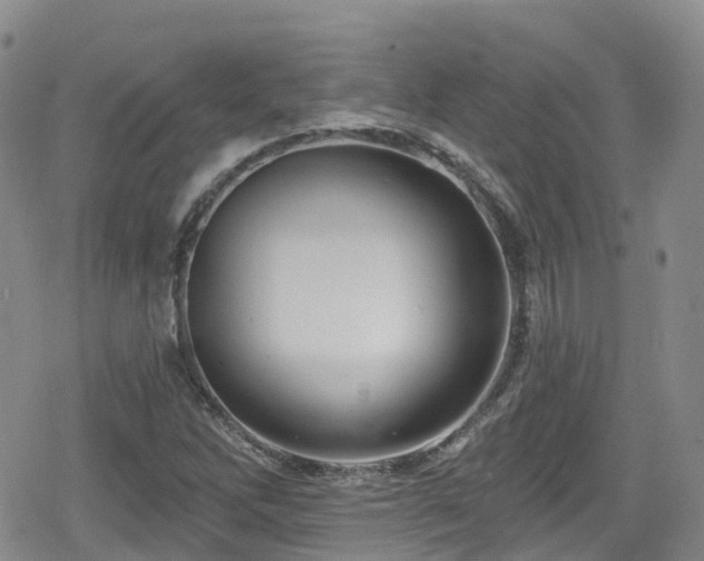 X0000080201262200612081418