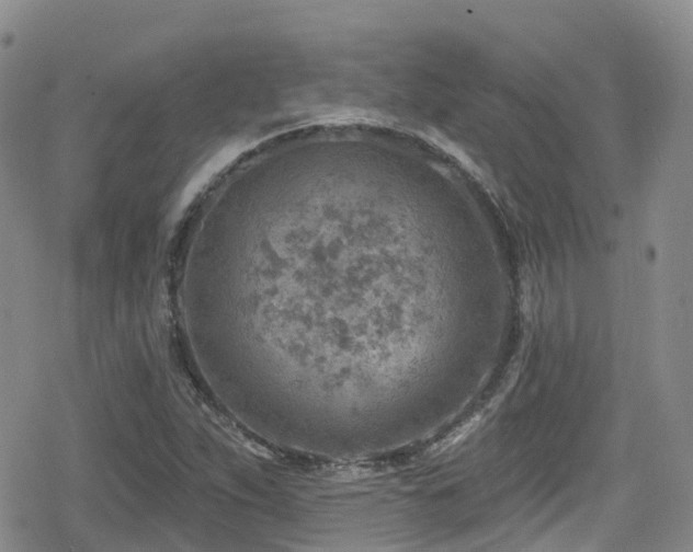 X0000080201263200612081418