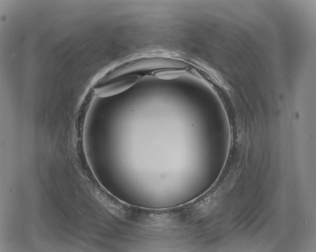 X0000080201264200612081418